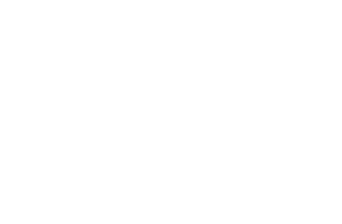 wingwave®